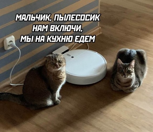 Картинки на субботу