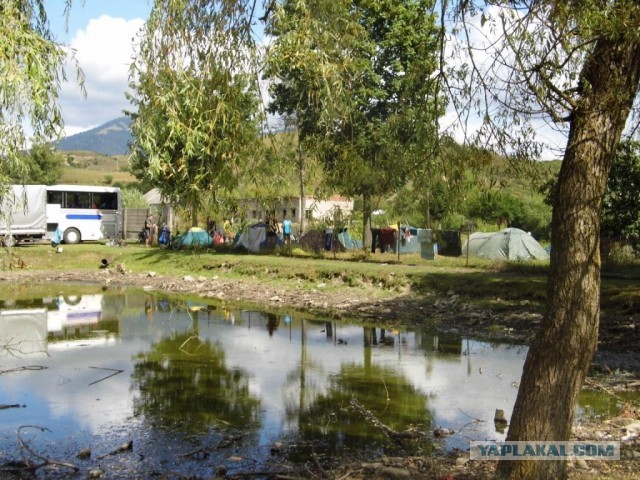 В Карпатах