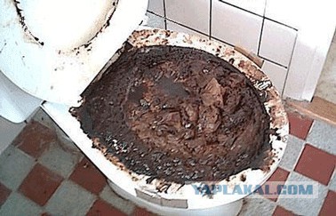 Никаких излишеств для канадцев.