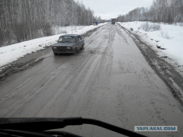 Озеленение Владивостока.