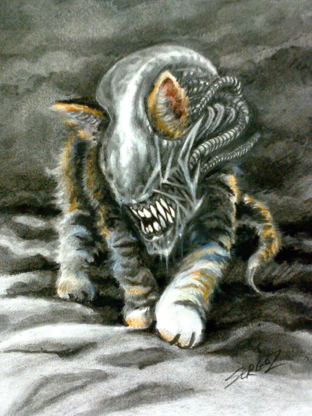 Мой "Чужой"Кот