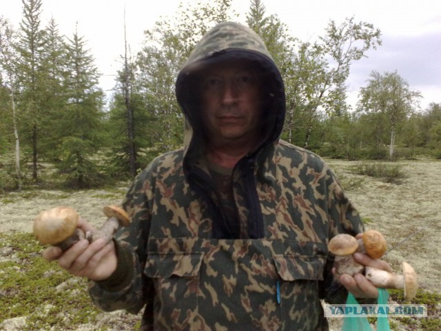Ягод и грибов пост