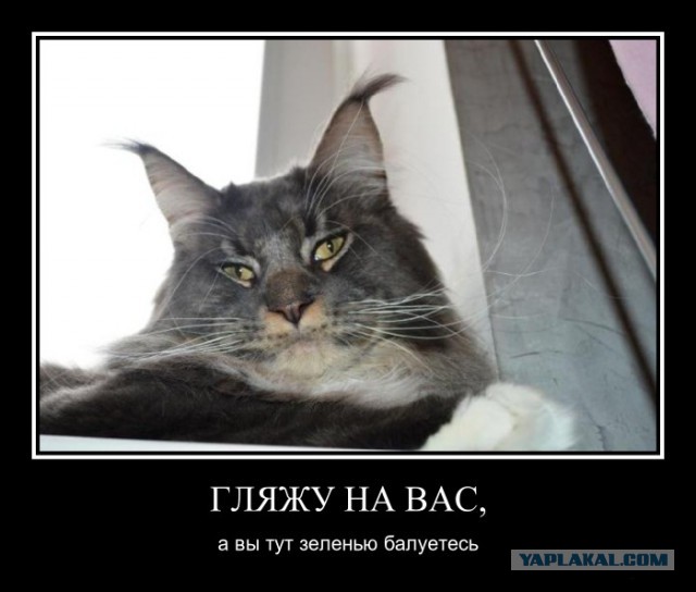 Плюсомет со шпалометом