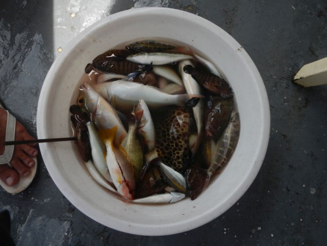 Остров Phu Quoc