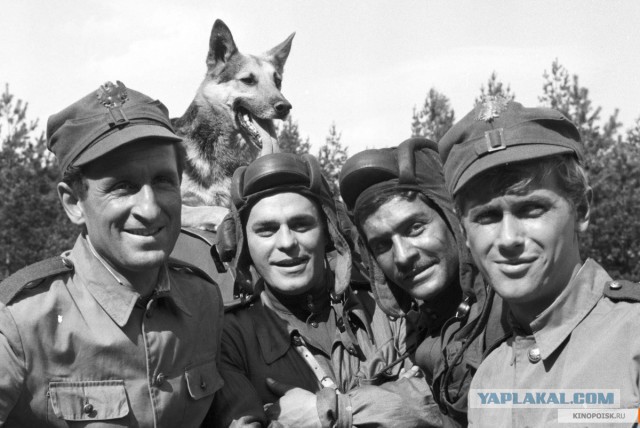 Колонну «Ночных волков» не пропустили в Польшу