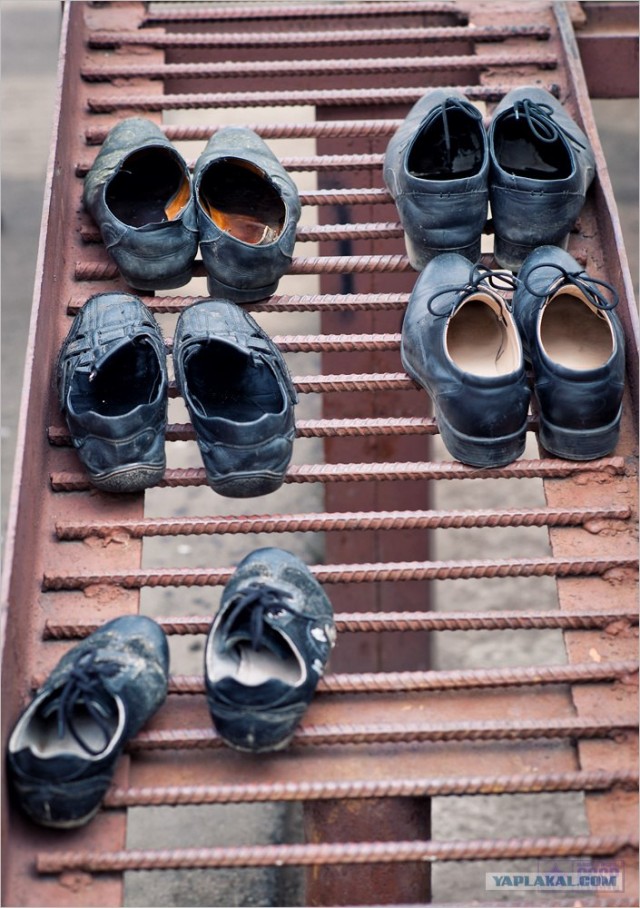 Центр кинологической службы Упр-ния на транспорте