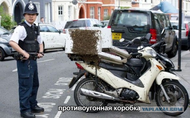 Картинки 12.05.2015