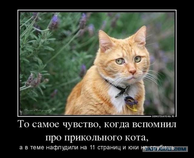 Известные котомемы.