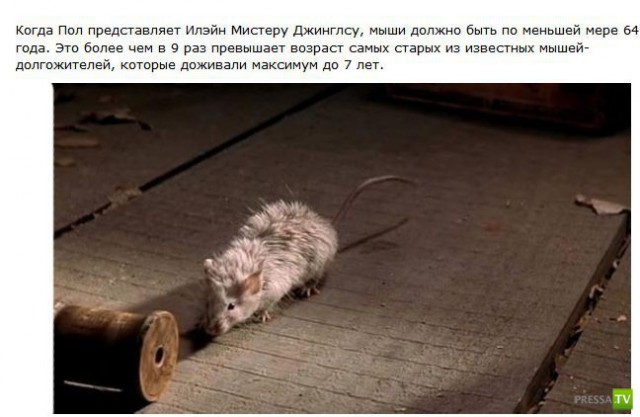 Том Хэнкс и Ф. Дарабонт на съёмках "Зеленой мили"