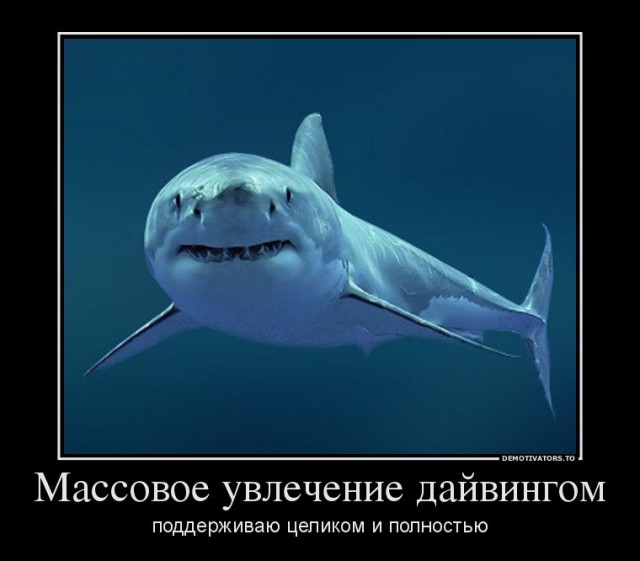 Вся правда о дайвинге!