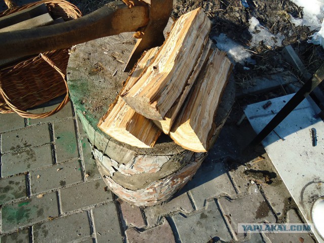 Мой личный котоленд 14