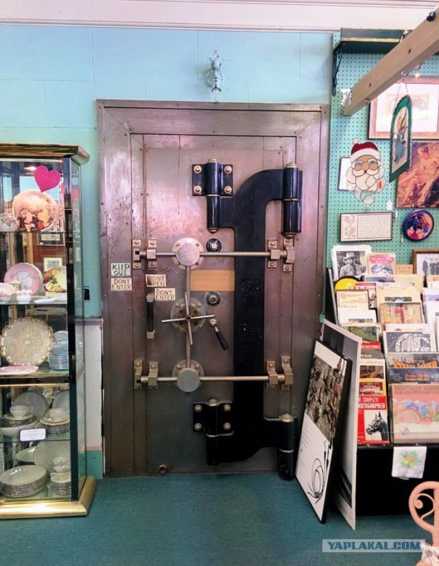 Подборка интересных и прикольных фото