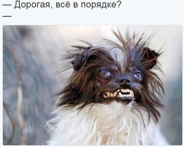 Прикольные картинки