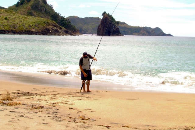 Great Barrier Island. Новая Зеландия.