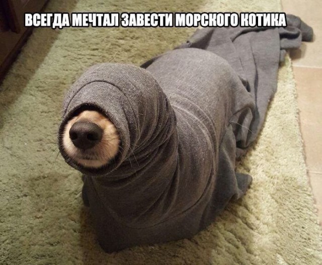 Подборка интересных и веселых картинок