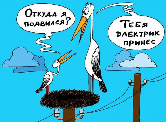 Лента прикольных картинок на пятницу (25.01)