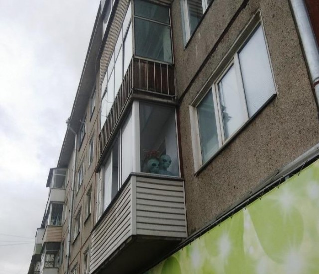 Лента прикольных картинок