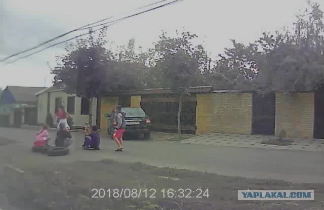 В Брянске супружескую пару достали орущие под окном дети и они спилили детские качели