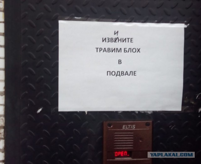 Эра двоечников настала. И они уже не стесняются ничего…