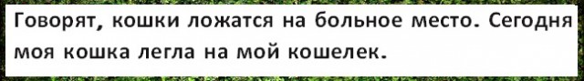 Анекдоты, соц-сети и картинки с надписями