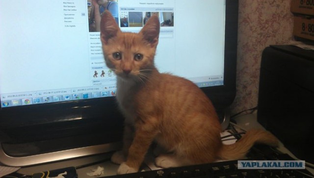 Один мой день. Самый первый!