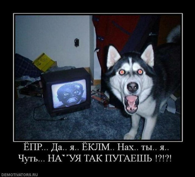 Бредзона