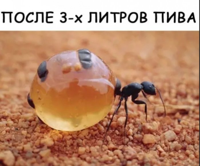 Бредзона 31.12.2019