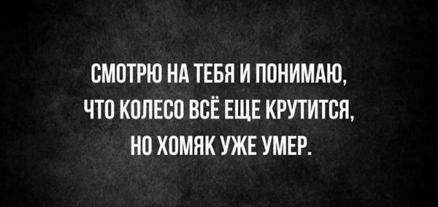 Чудеса рядом