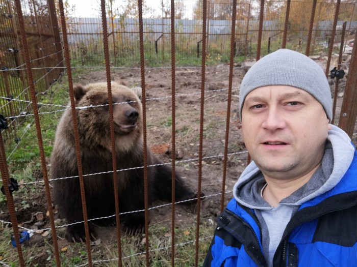 В Карелии спасли недельных медвежат, которых бросила мама