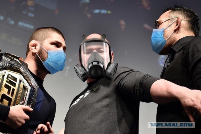 Хабиб vs Тони - первая встреча перед UFC 249