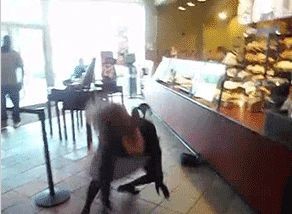 Ппц под счастьем