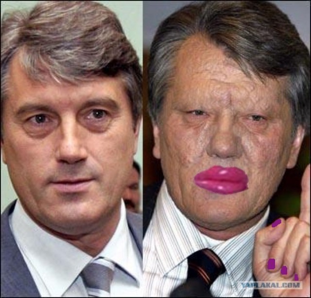 МуклоЖаба на ЯПе