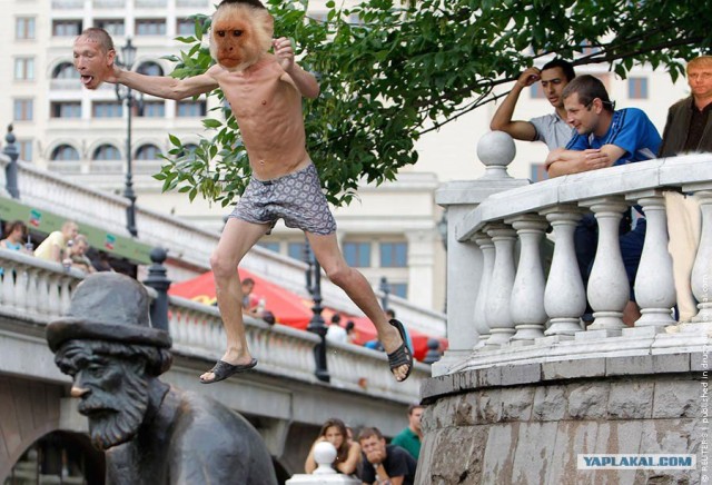 Фотожаба: Прыгун