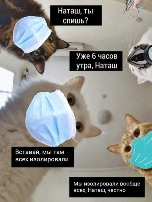Наташа, вставай!