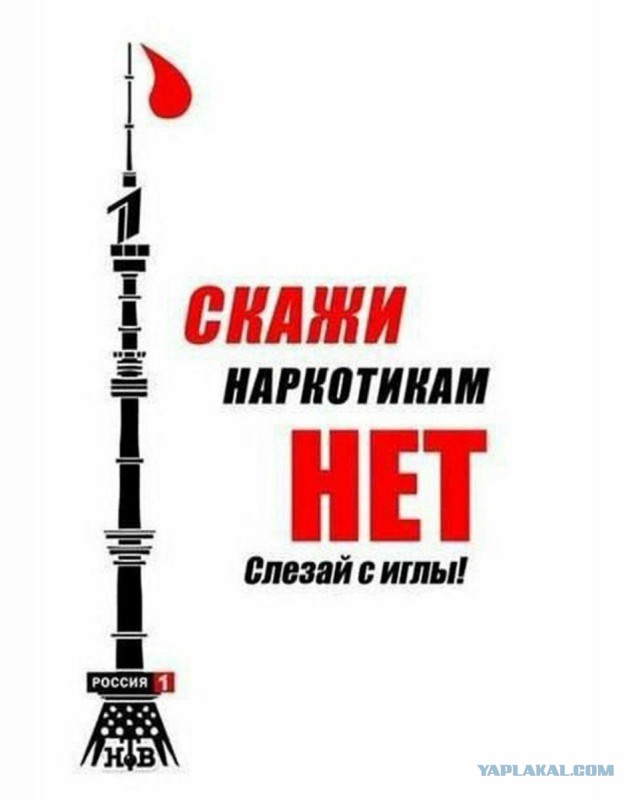 Главному Директору Телевизора