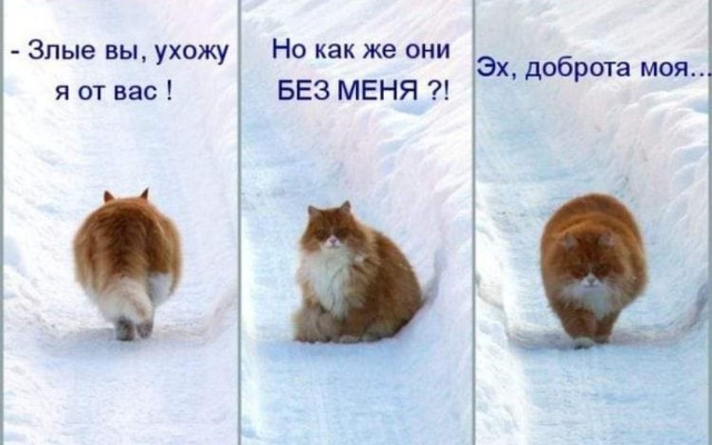 Бредзона 02.01.21