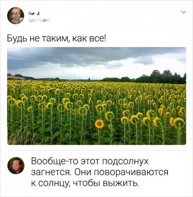 Баянисто-небаянистый юмор 3.03.21