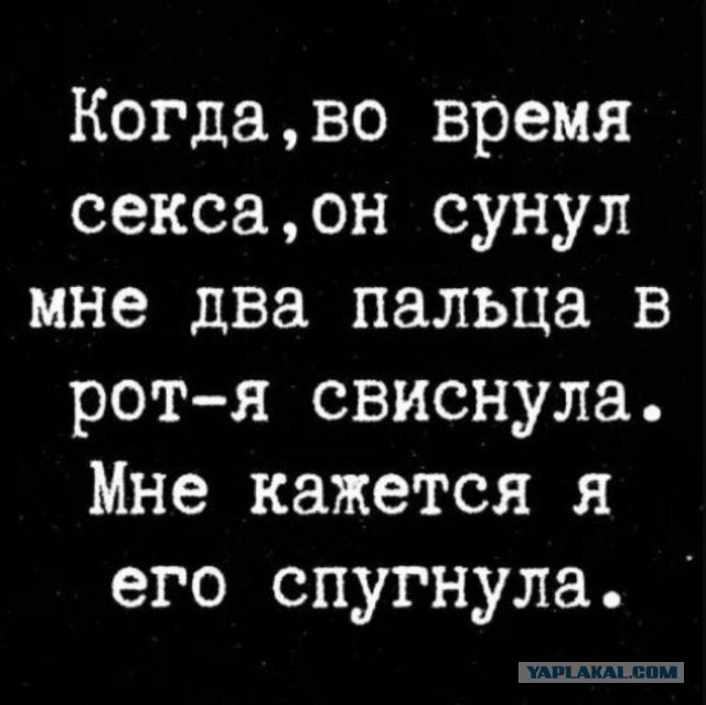 Весёлый полтишок 13.03