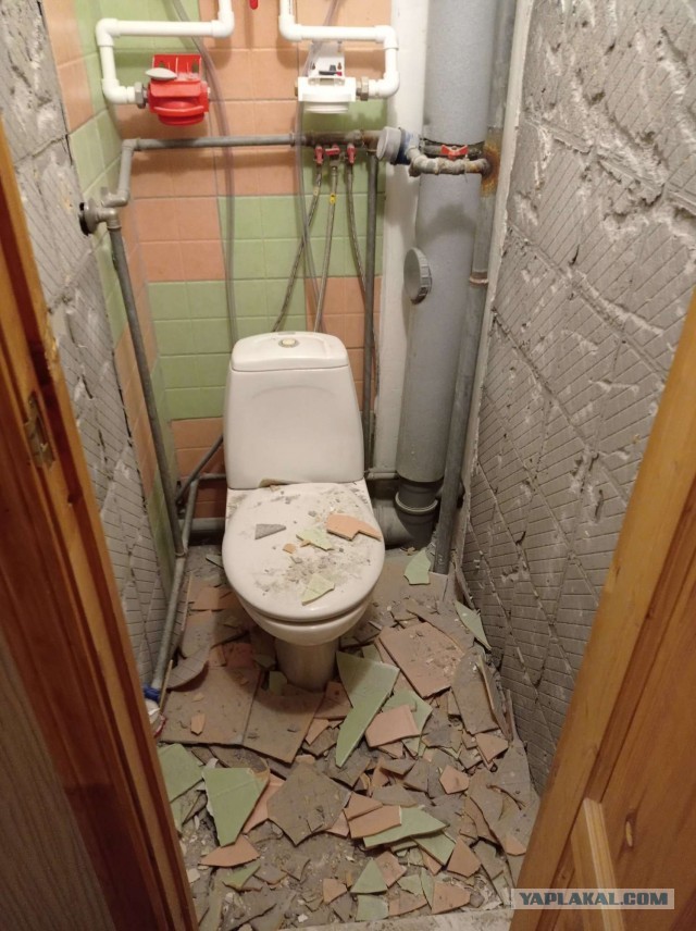 Жизнь одного туалета