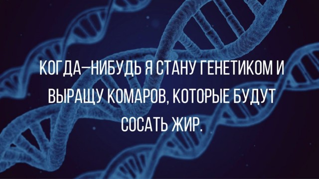 Так себе картинки 14.08.21