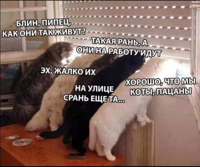 Наконец-то нормальный запоминающийся мануал