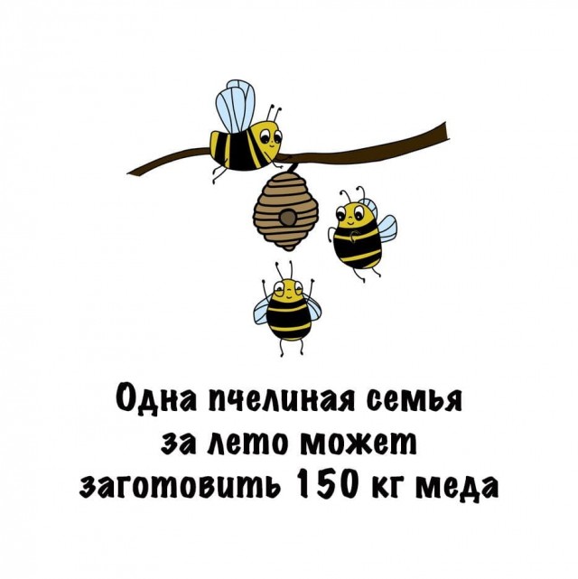 Картинки на субботу