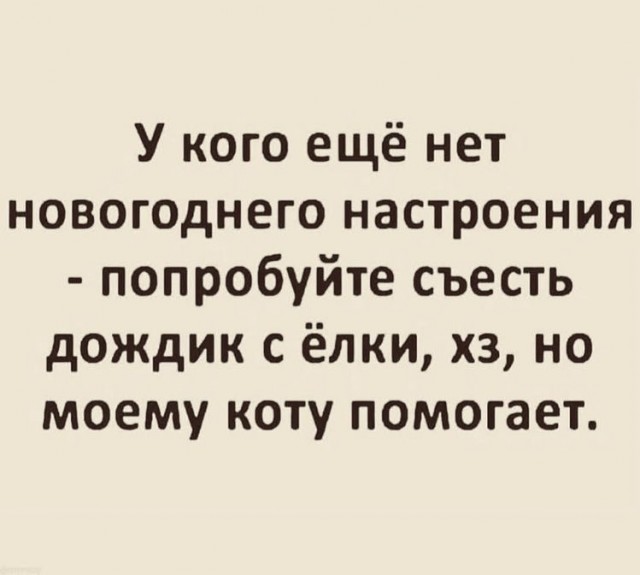 Смешные комментарии из социальных сетей 31.12.21