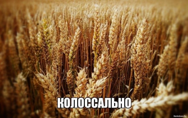 Мозгокекс в текстах