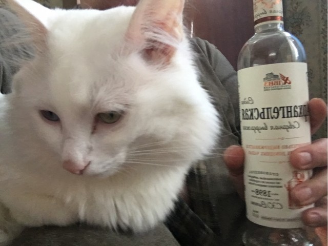 Я предлагаю юмор и позитив