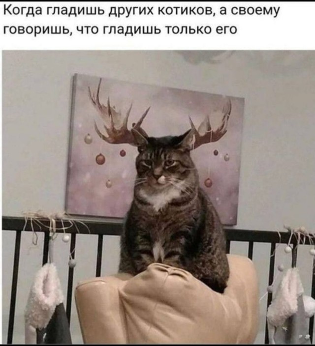 А у вас есть питомец "на стороне"?
