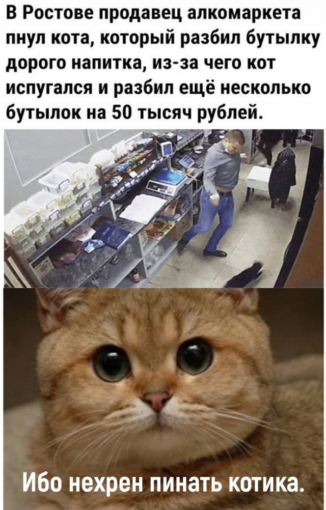 Так себе картинки 20.04.22