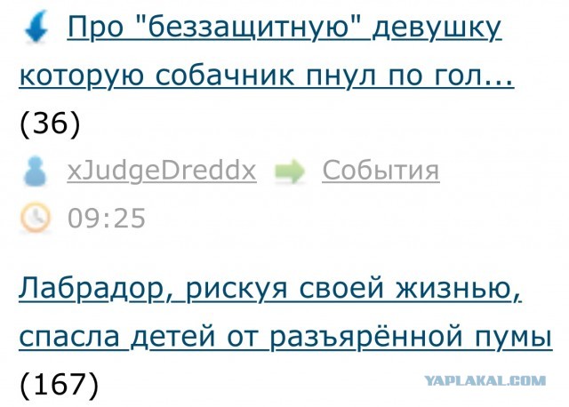 Про "беззащитную" девушку которую собачник пнул по голове