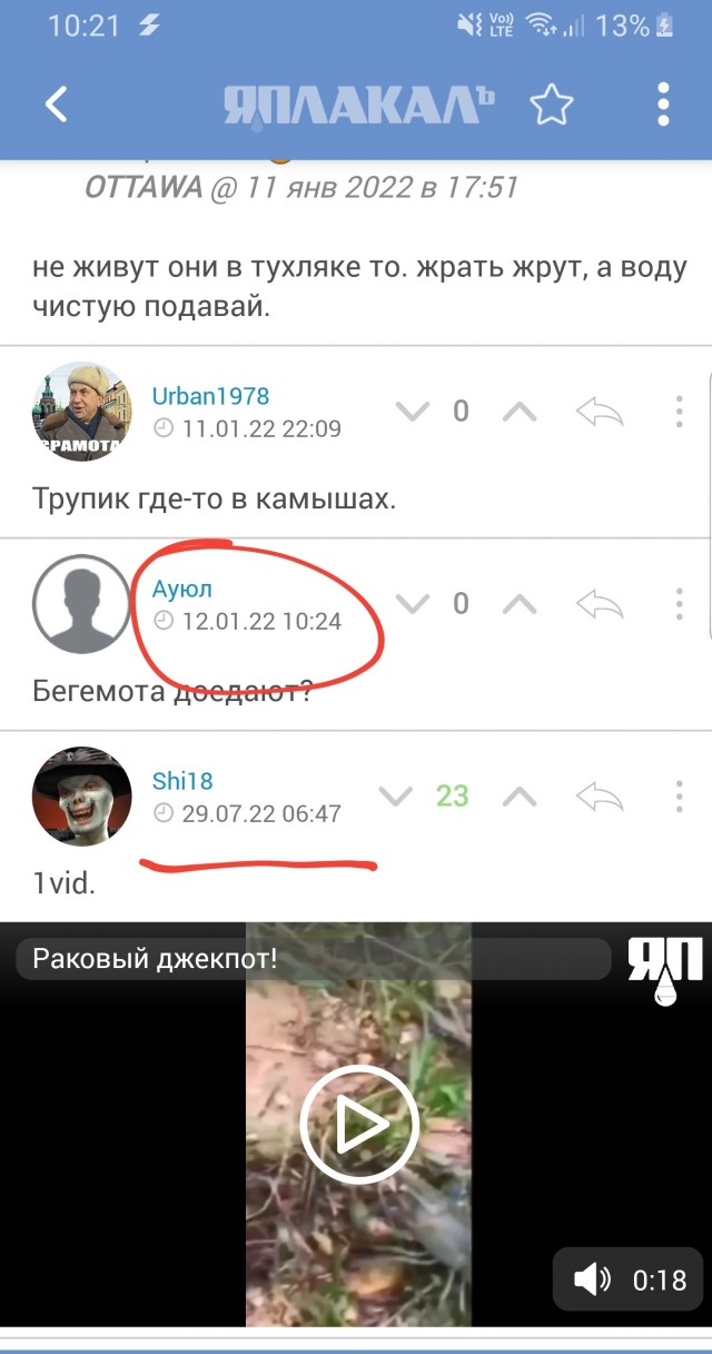 Тащите бочку пива!