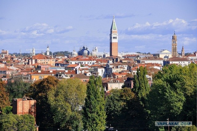 Любовь с первого взгляда